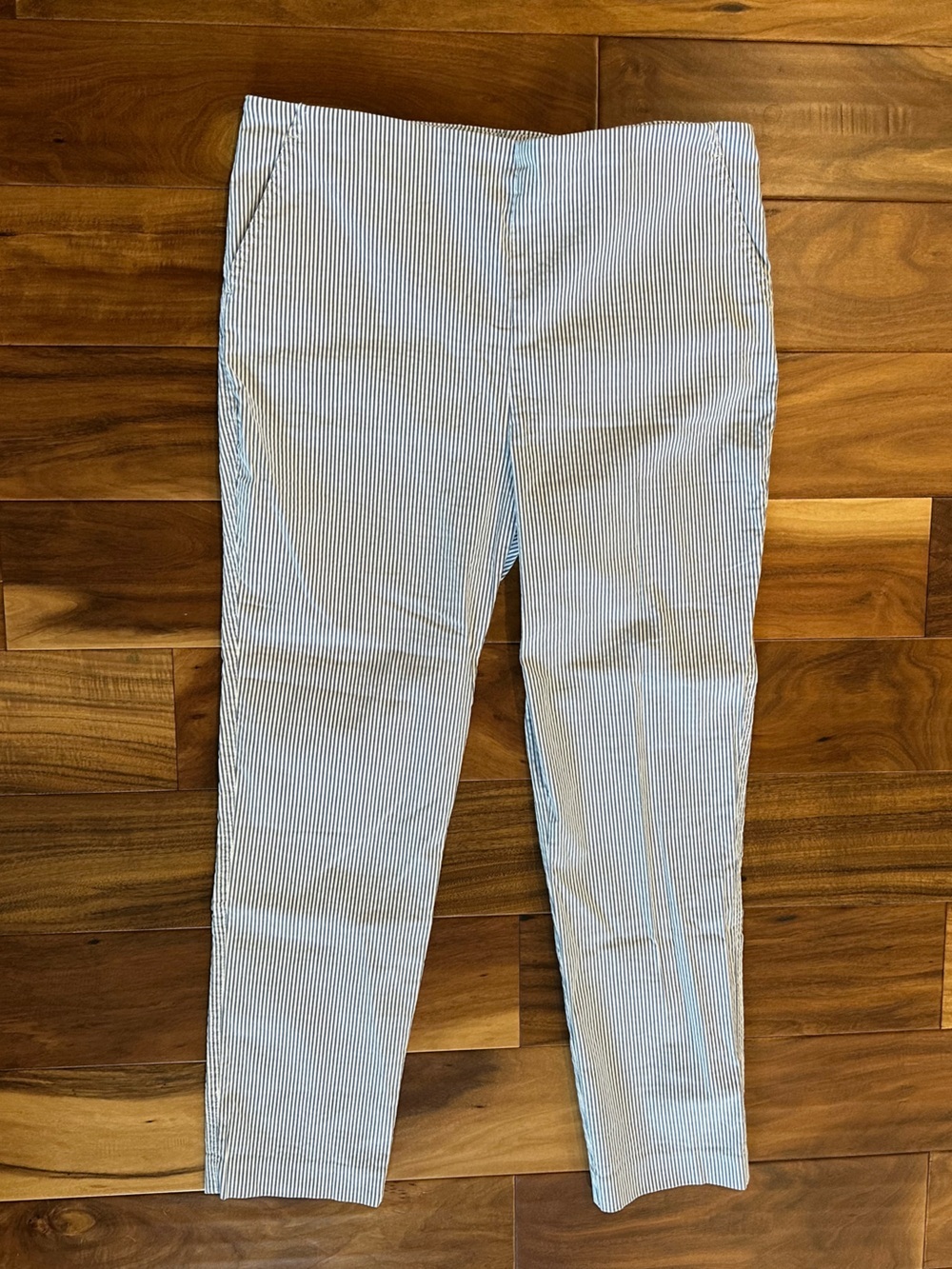 Carolina Belle Blue & White Striped Pants size 10